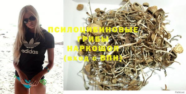 дживик Нефтегорск